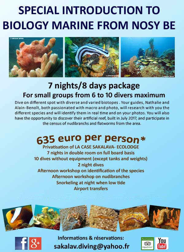 biology diving special offer Nosy Be Madagascar